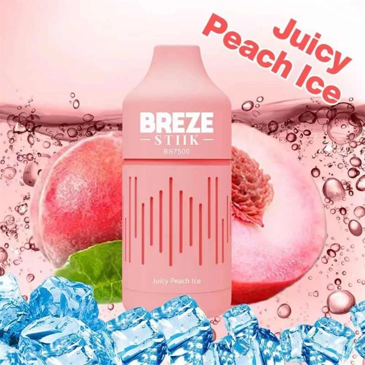 Vape usa e getta BREZE STIIK BS7500