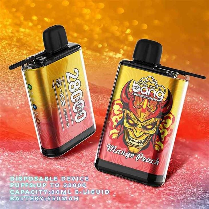 Bang 28000 PUFFS ICE CONTROL 3