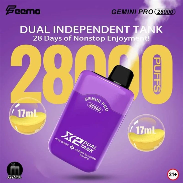 Feemo Gemini Pro 28000 sbuffi