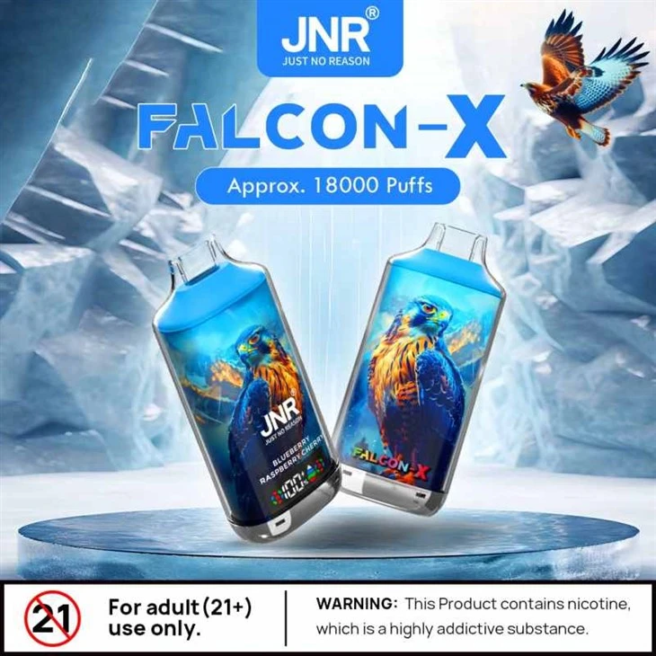 Falcon X 18000 di JNR
