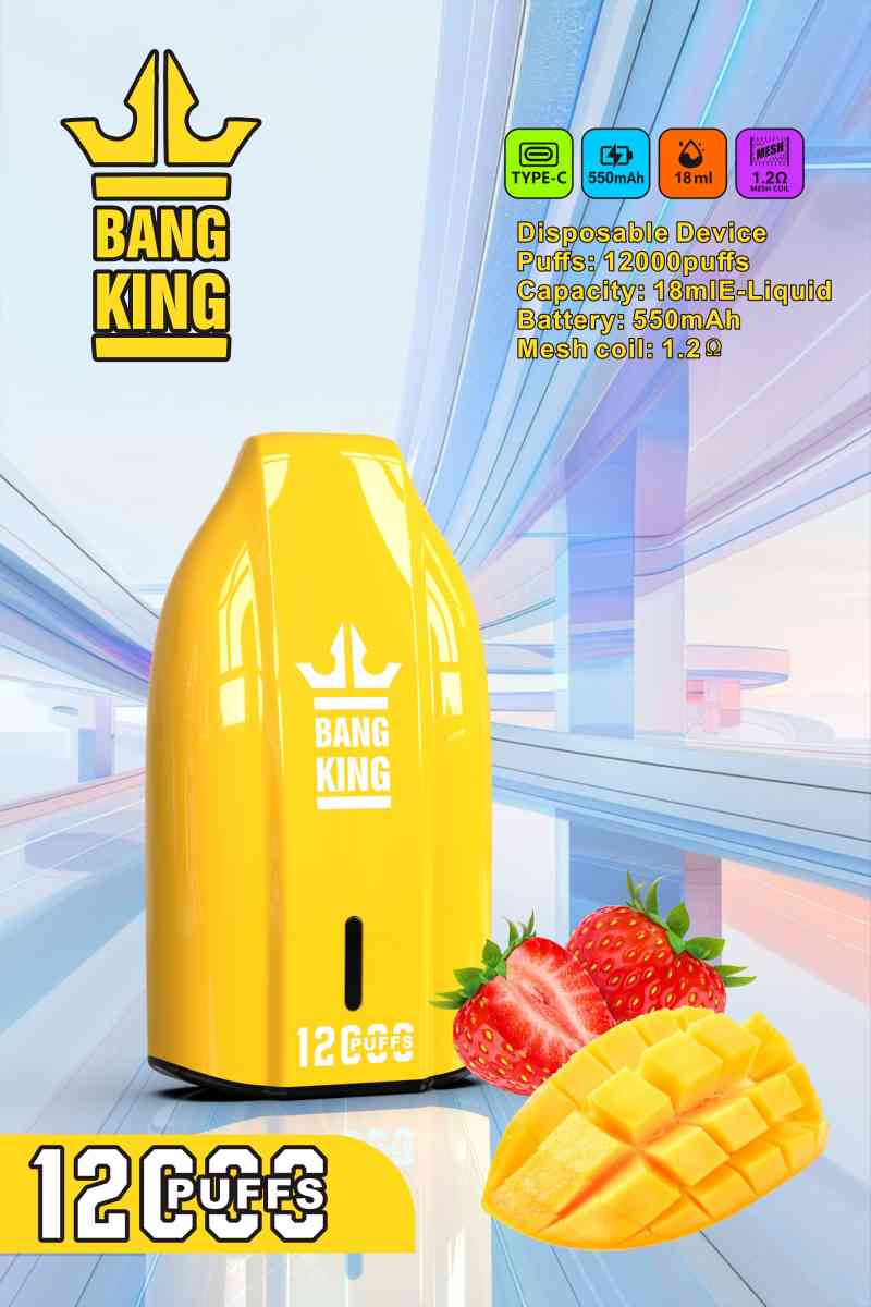 BANG KING 12000 16