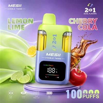 GEMELLI VISIBILI MESII 100K