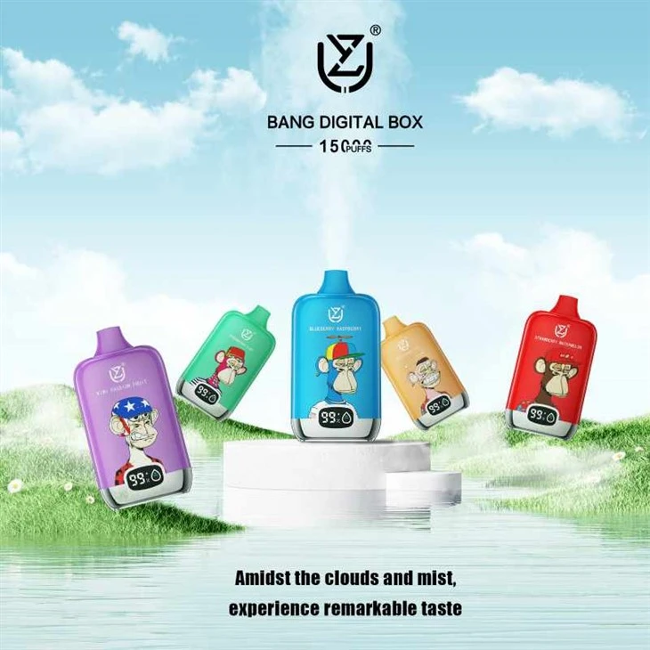 SCATOLA DIGITALE UZY BANG 15000